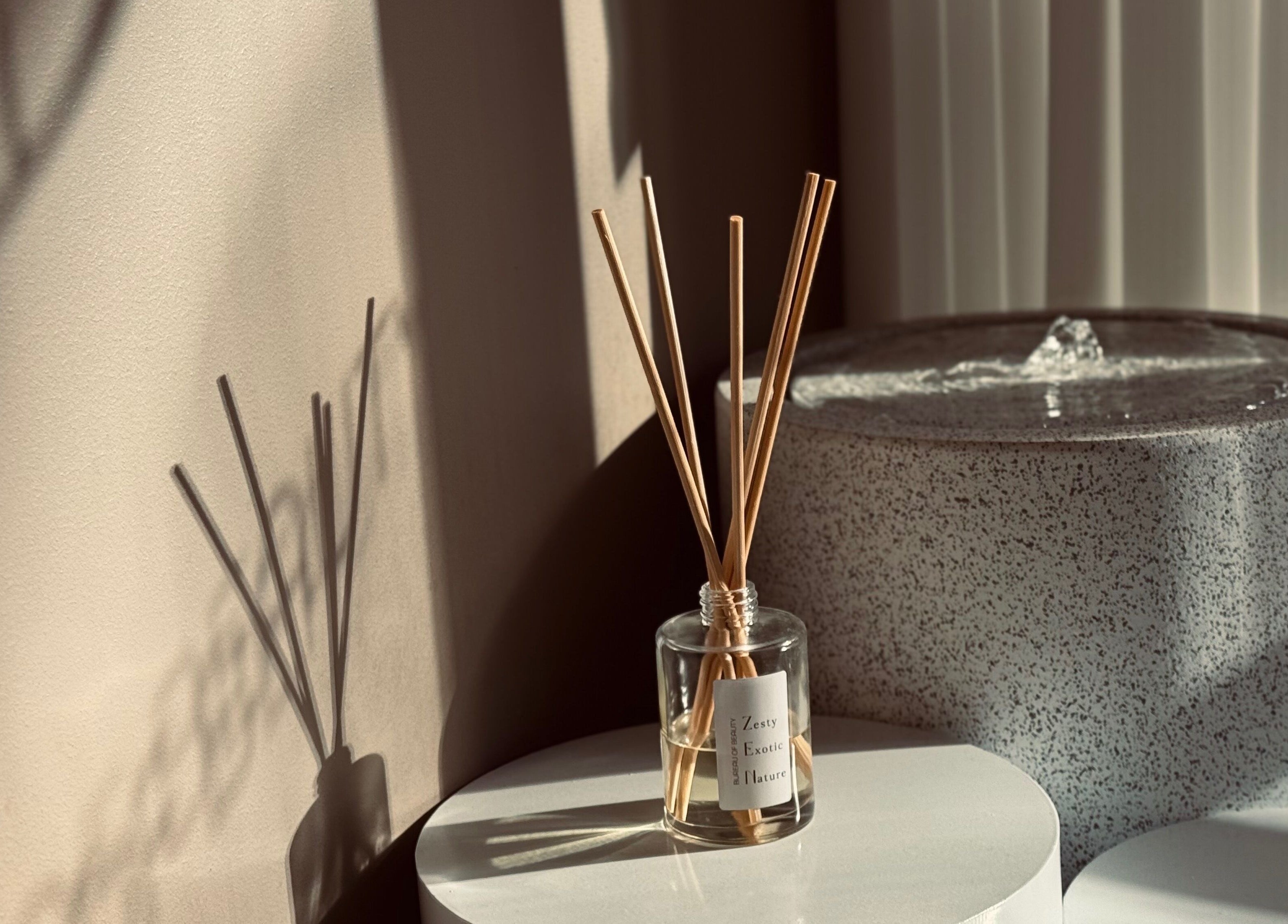 Peaceful setting at Bureau of Beauty, Yeerongpilly, Queensland, AU with diffuser and water feature.
