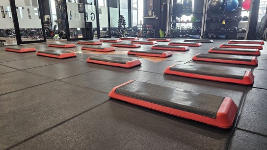 Xtreme Fitness with Toffee