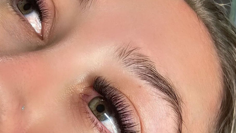 The LASH Co. image 1