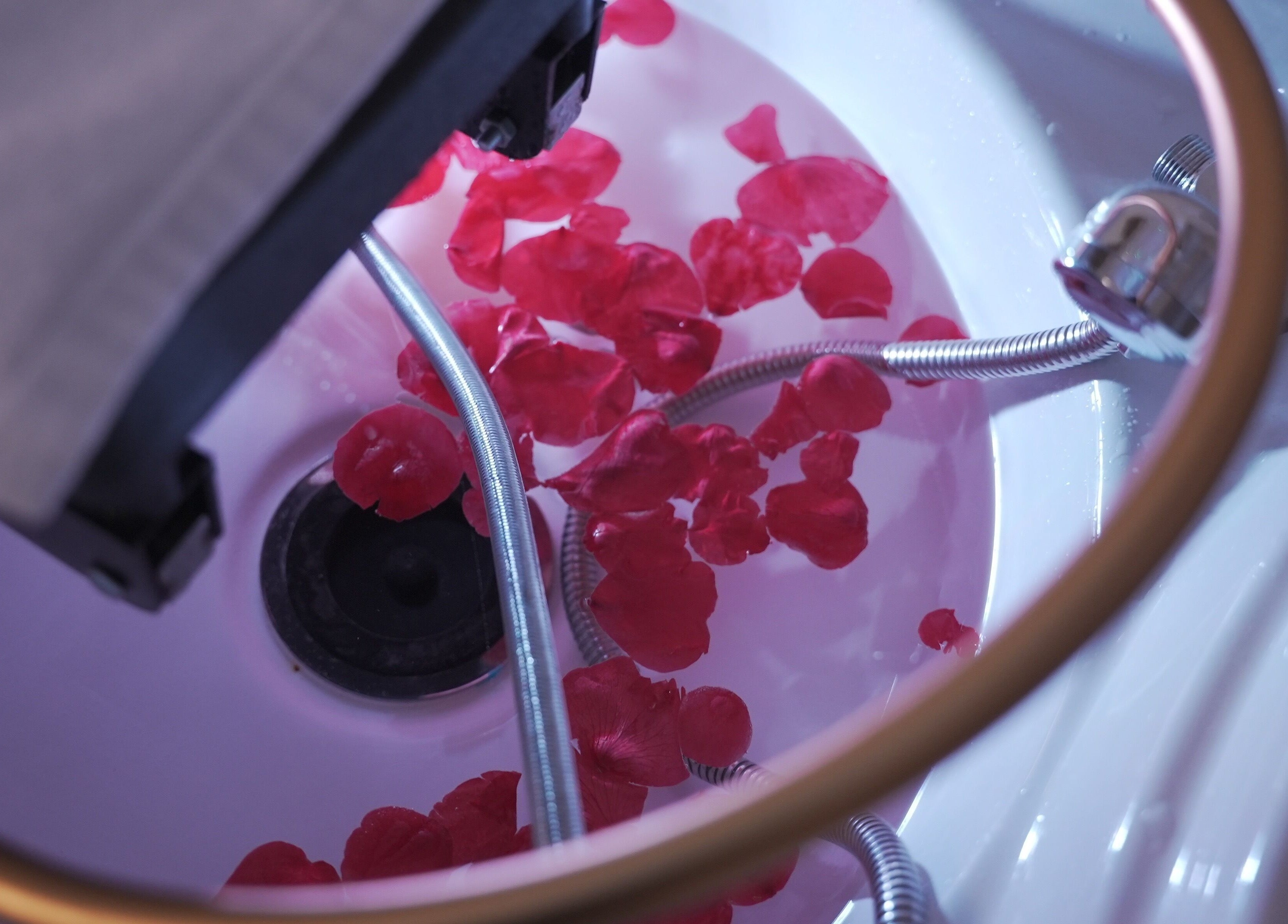 Rose petals in a spa basin at Lavie Bella Head Spa, Artesia, California, US.