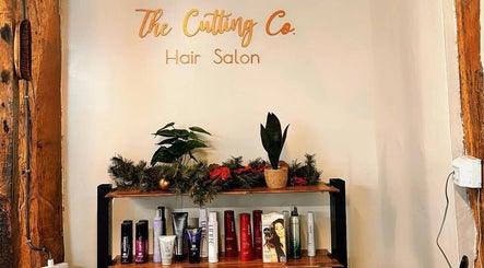 The Cutting Co. Hair Salon shelf with hair products and plants, Woodbridge, England, GB.