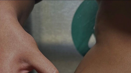 Sundara Southern Beauty