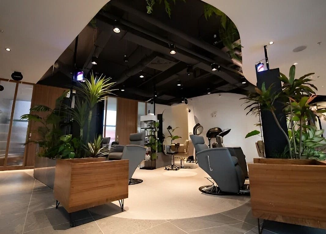 Modern salon interior with plants at Snip & Drip, Petaling Jaya, Selangor, MY, offering a serene ambiance.