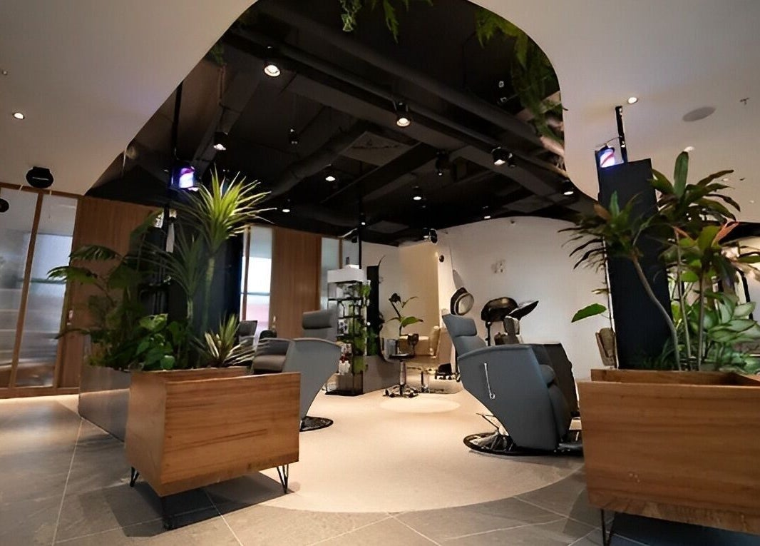 Modern salon interior with plants at Snip & Drip, Petaling Jaya, Selangor, MY, offering a serene ambiance.