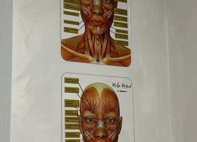 Anatomy charts on the wall at Mizo Medical Aesthetics, Hazel Grove, England, GB showcasing facial muscle structure.