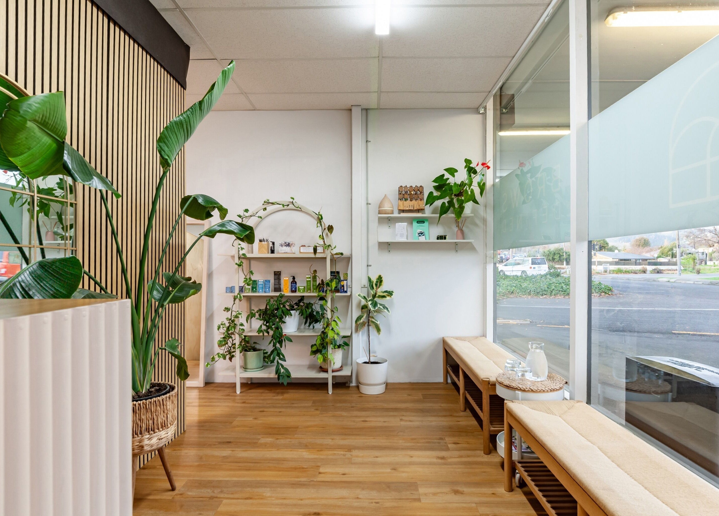 Welcoming interior of Brows Defined in Christchurch, Waitaha, NZ, featuring lush plants and modern decor.