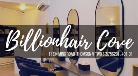 Billionhair Cove image 2