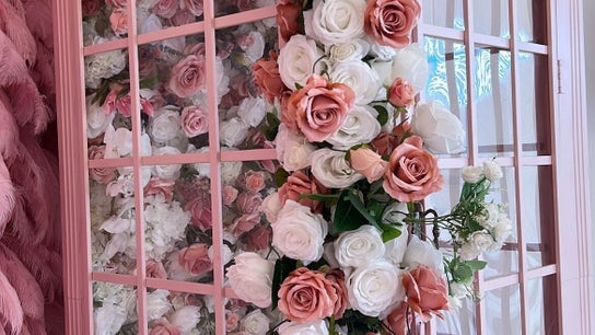 Petal Beauty by Lydia