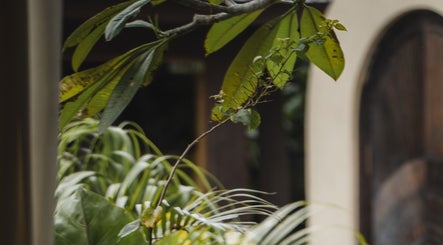 Lush greenery at The Ark | Social Recovery Club in Bali, Bali, ID, offering a serene natural ambiance.