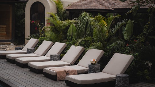 The Ark | Social Recovery Club