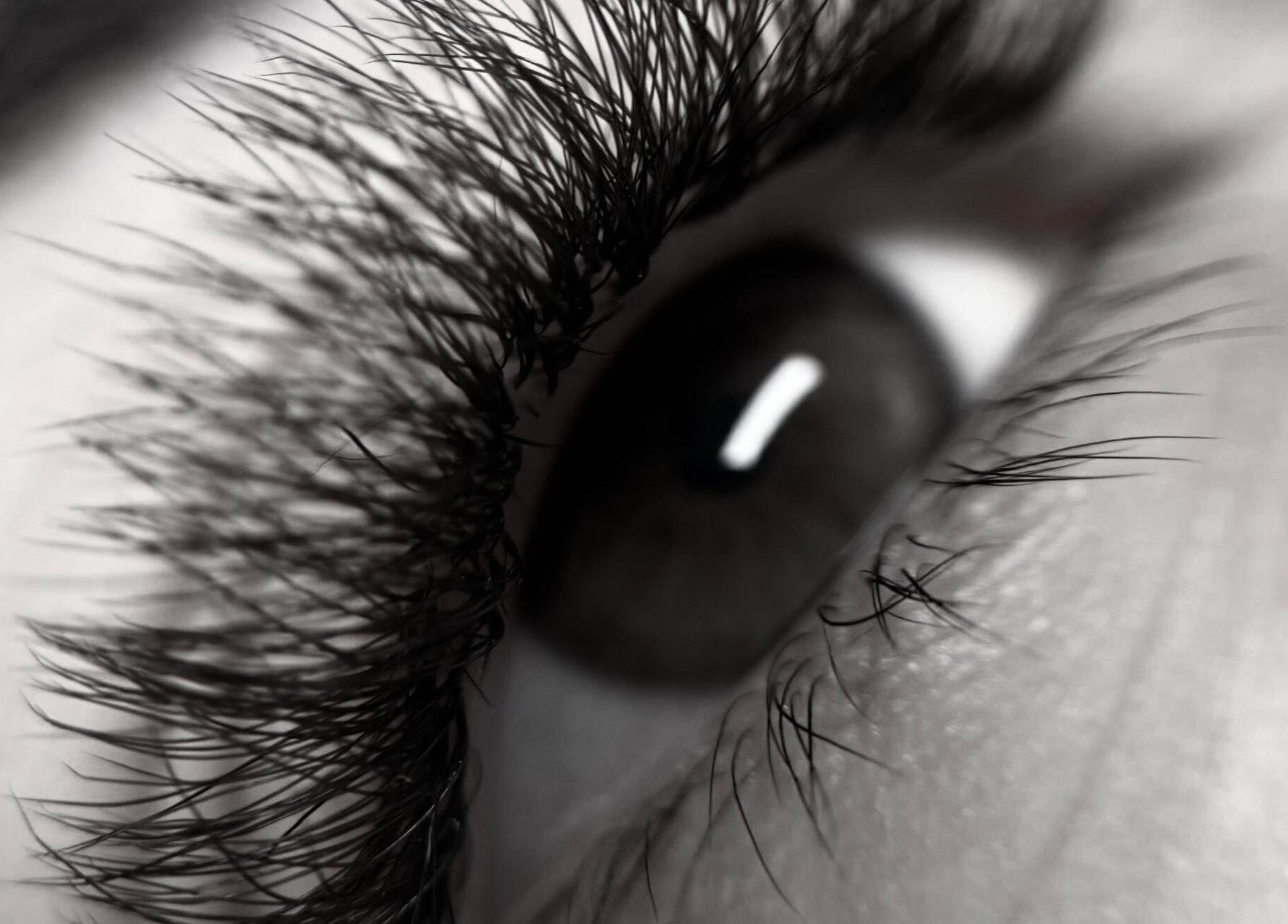 Cerca de un ojo con pestañas largas en Soleil Studio, Santiago, Región Metropolitana, CL.
