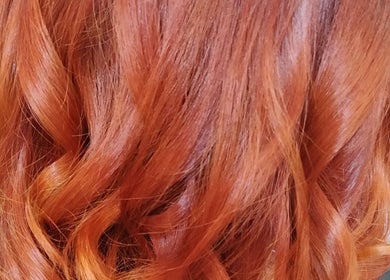 Botanical Blade hair studio in Dunedin, Otago Region, NZ showcases vibrant red hair styling.