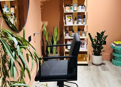 Modern salon corner at Hoipolloi Studio, Winchester, England, GB with stylish chair and green plants.