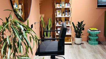 Modern salon corner at Hoipolloi Studio, Winchester, England, GB with stylish chair and green plants.