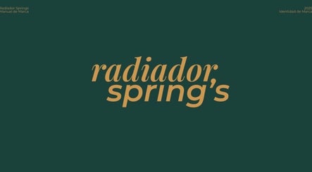 Radiador Spring’s