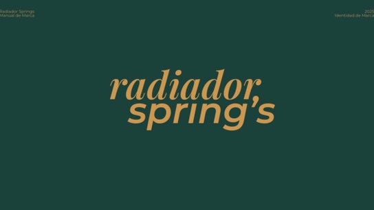 Radiador Spring’s