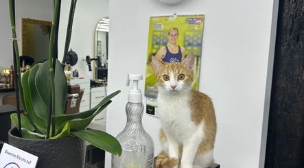 صورة Moonlight salon 2