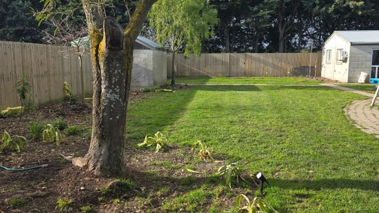 The Dog Groomer Ltd Rangiora