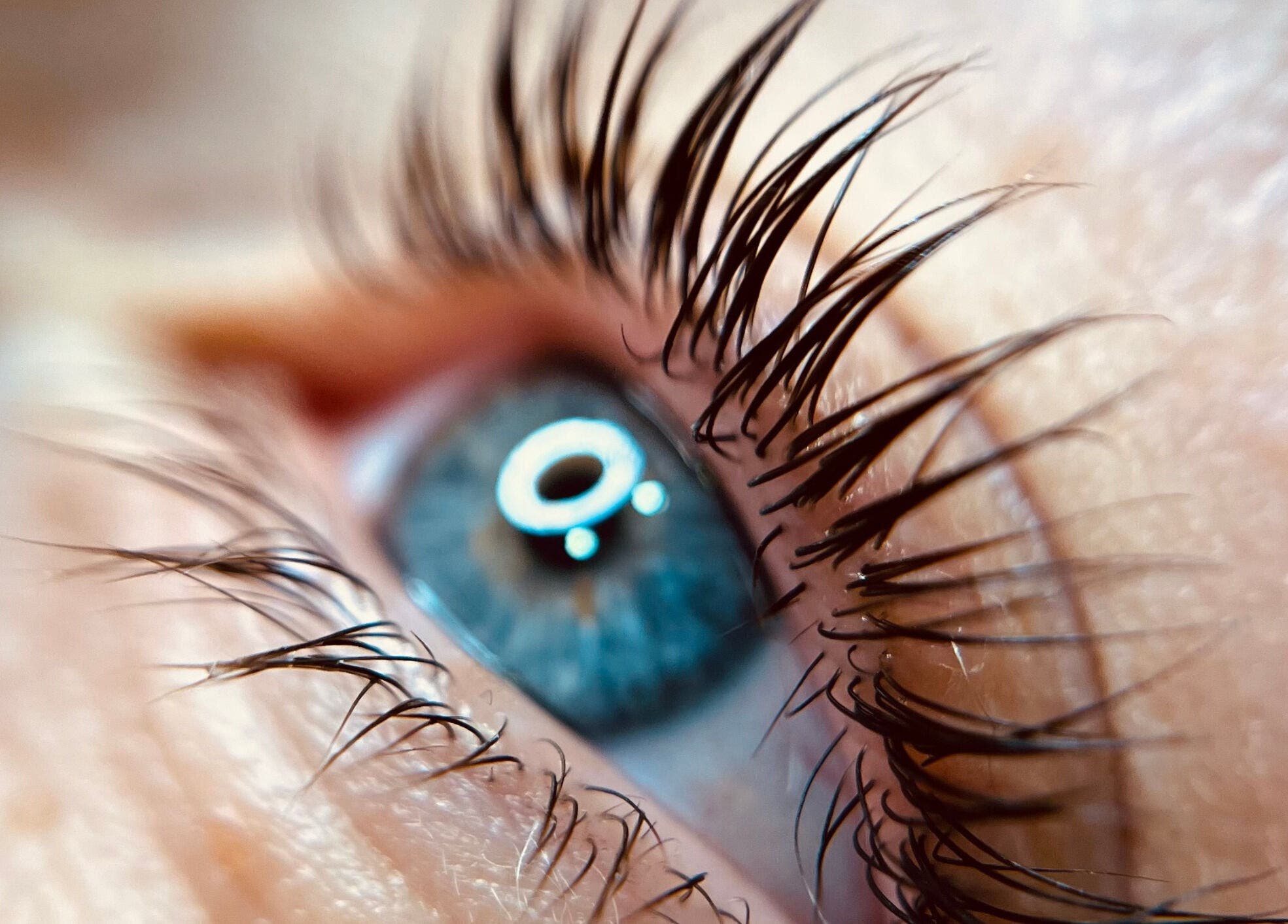 Close-up of an eye showcasing lash enhancement at FIZIO & BEAUTY HOUSE, Mārupe, Mārupes Novads, LV.