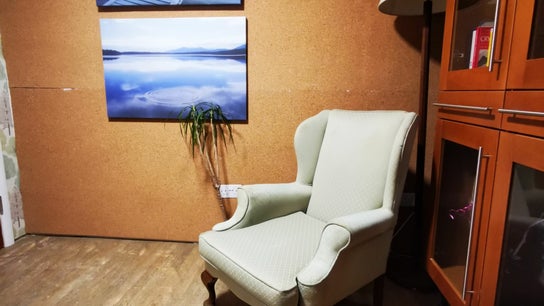 Professional Therapist - Talking Therapy Room Hire Bookings 2