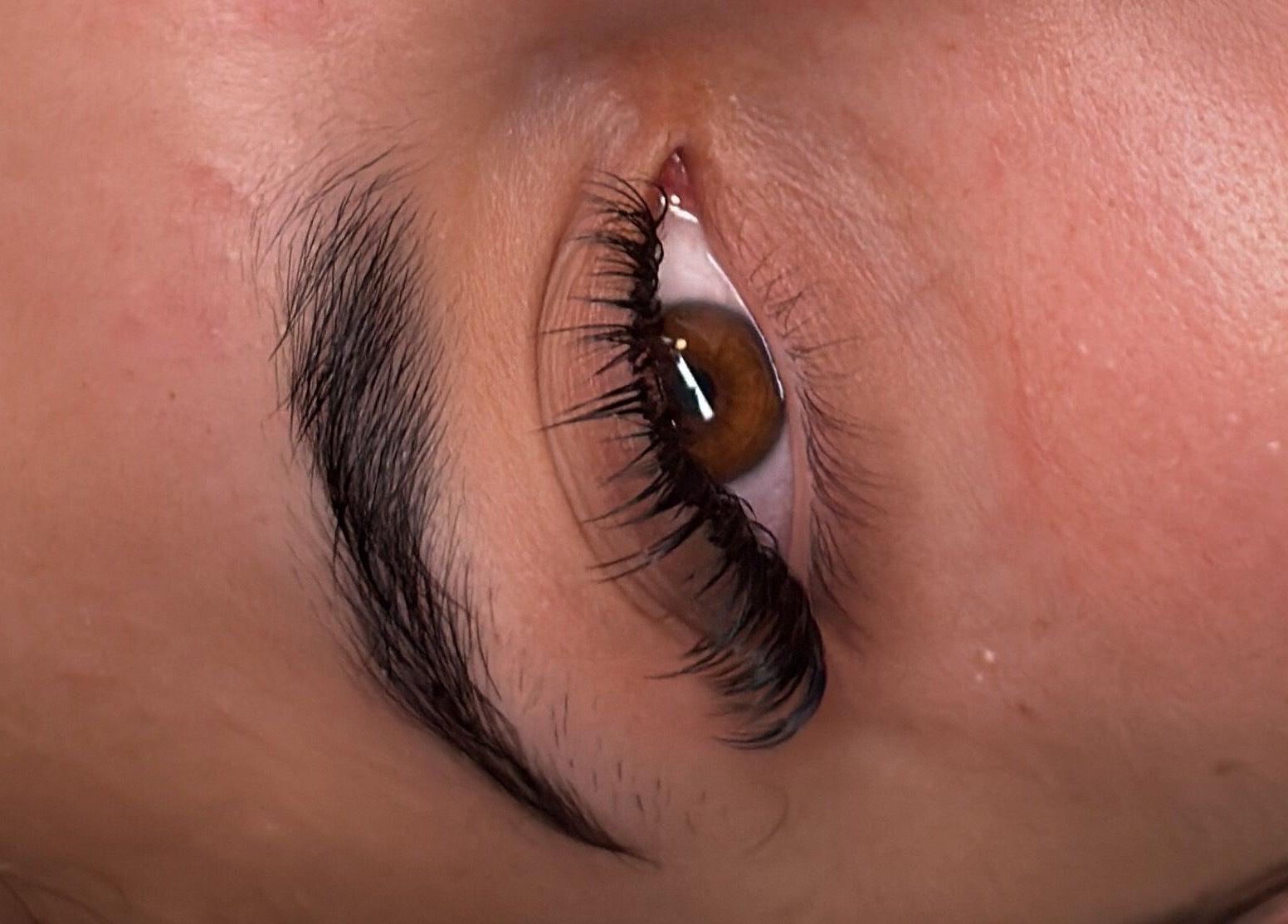 Detailaufnahme von gepflegtem Auge bei Samsuma, Zürich, Zürich, CH.