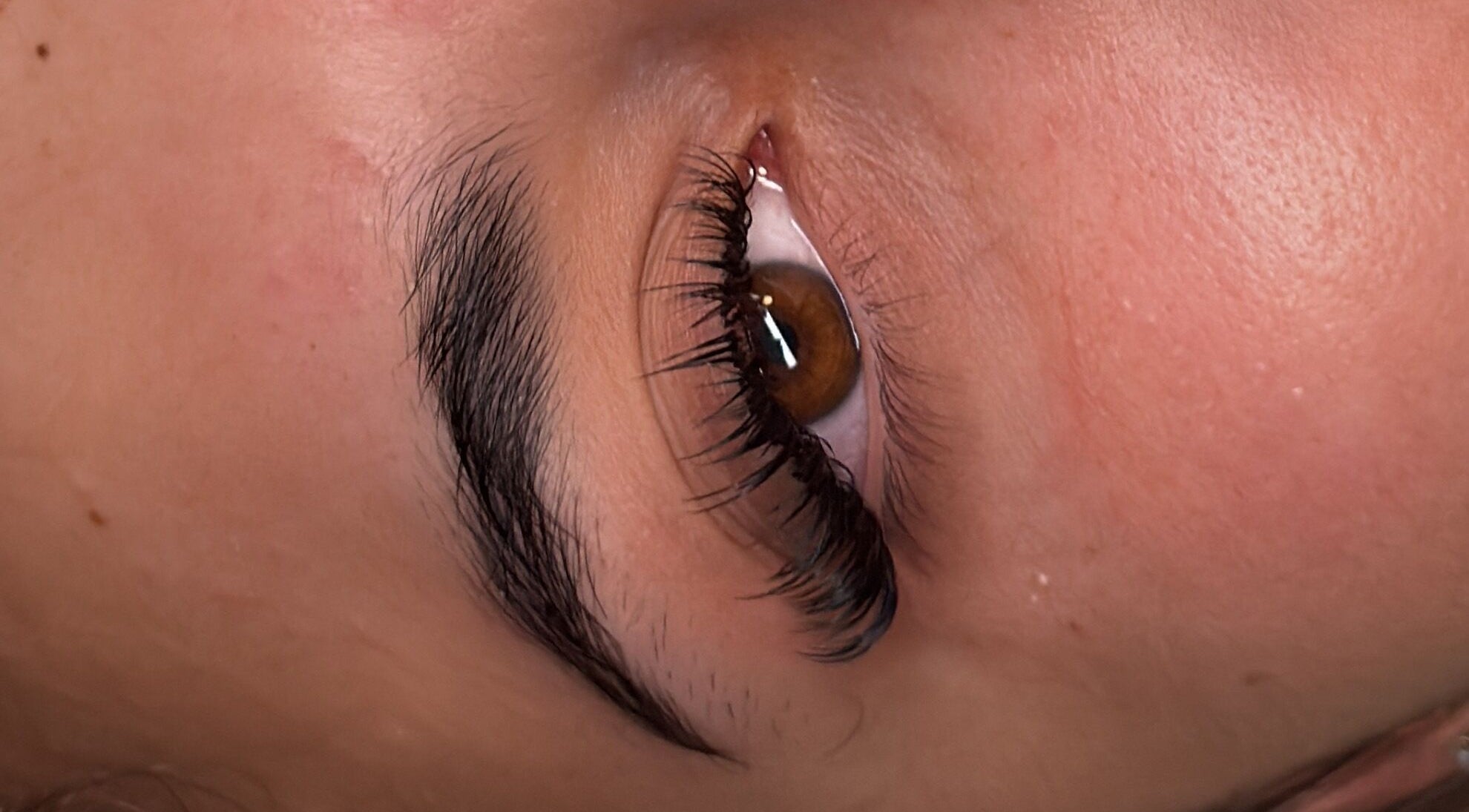 Detailaufnahme von gepflegtem Auge bei Samsuma, Zürich, Zürich, CH.