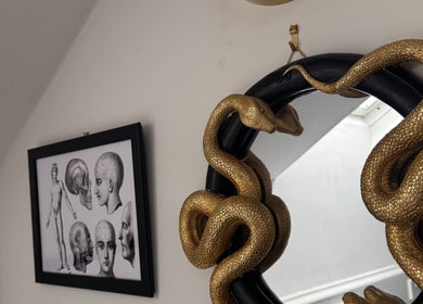 Decorative gold serpents on a mirror and anatomical art at La Rosa Blanca | Reiki & Yoga, Glasgow, Scotland, GB.