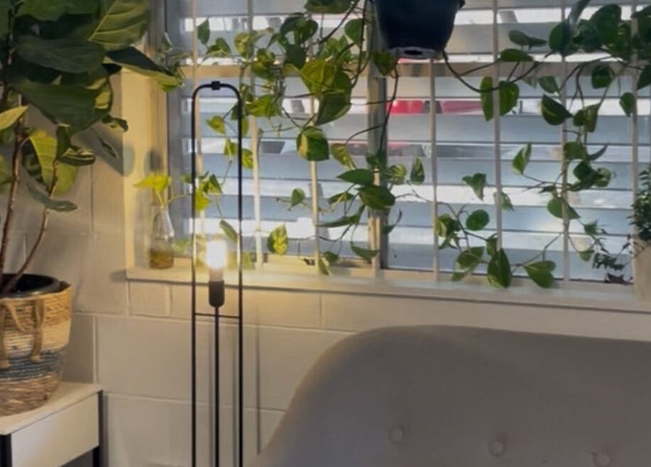 Lush plants and serene lighting at HayanSkin - Korean Skincare Beauty Studio, Ashmore, Queensland, AU.