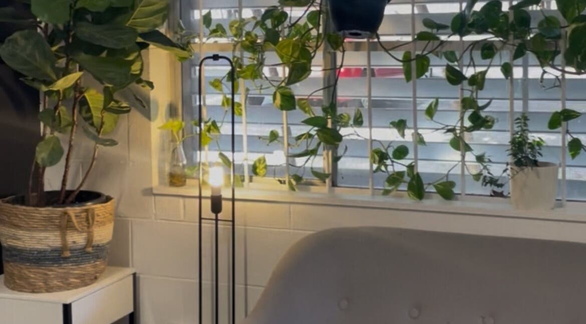 Lush plants and serene lighting at HayanSkin - Korean Skincare Beauty Studio, Ashmore, Queensland, AU.