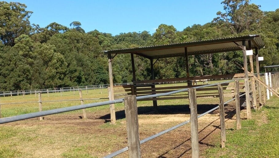 Covered stable and green pasture at Elara Lodge, Yandina Creek, Queensland, AU.