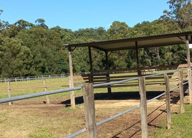 Covered stable and green pasture at Elara Lodge, Yandina Creek, Queensland, AU.