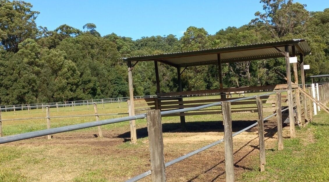 Covered stable and green pasture at Elara Lodge, Yandina Creek, Queensland, AU.