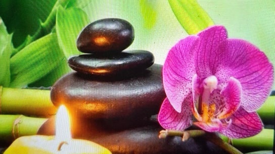 The Holistic Healing Hut