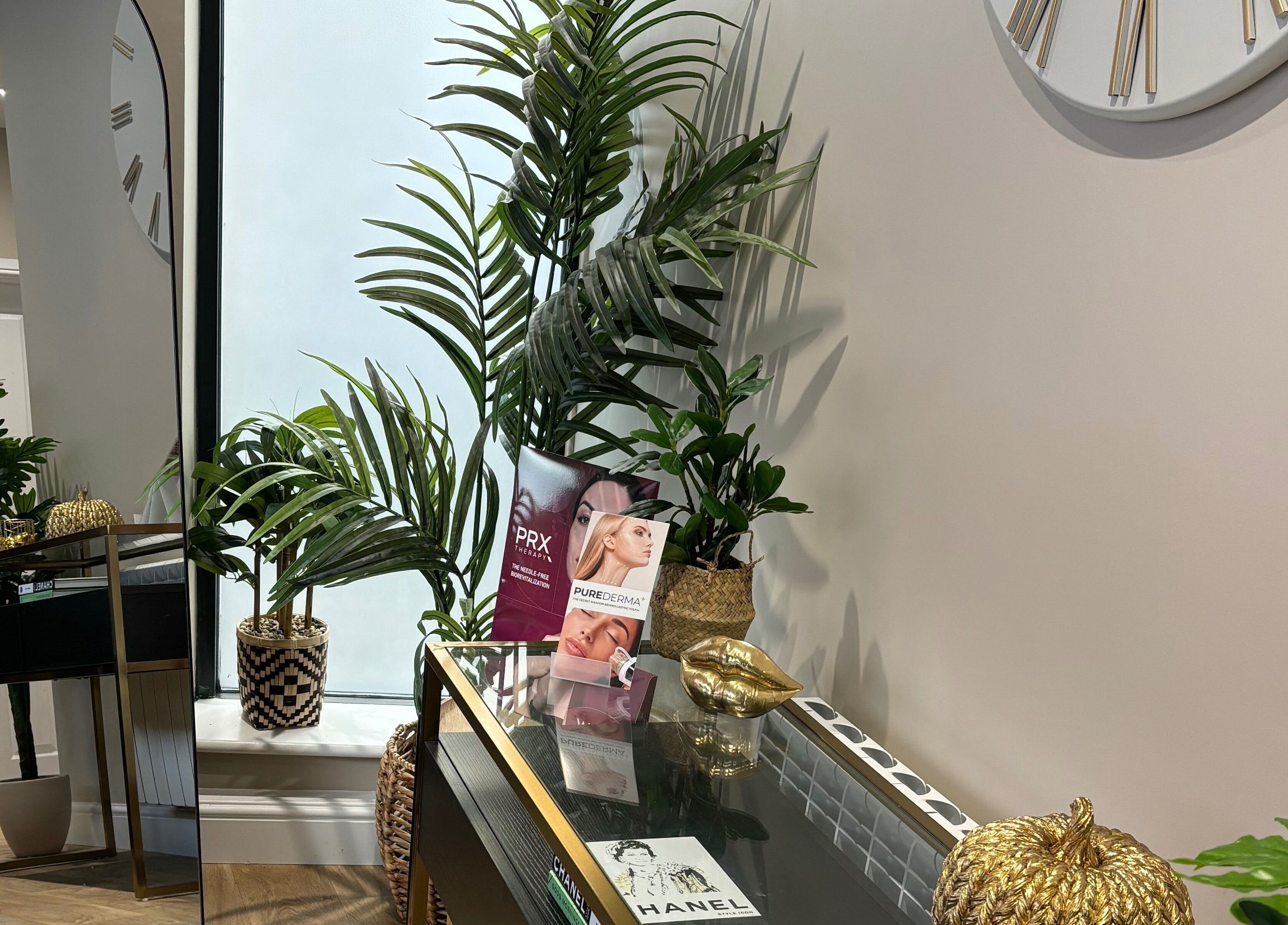 Elegant interior at Phi Clinic IOM, Douglas, Isle of Man, GB, featuring lush greenery and modern decor.