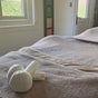 Pampered@62
