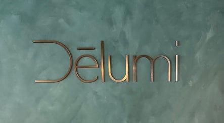 Lettrage métallique de DĒLUMI sur mur vert à Mirabel, Canada, CA.