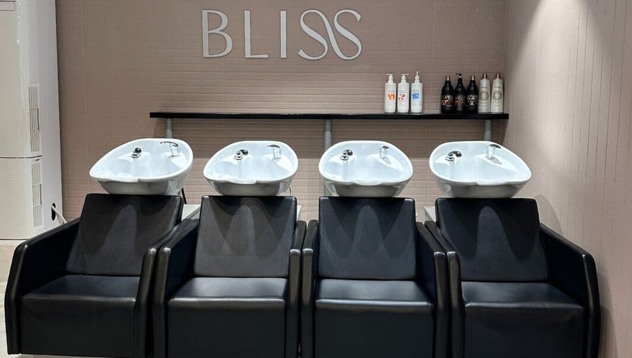 Εικόνα Bliss The Beauty Project 1