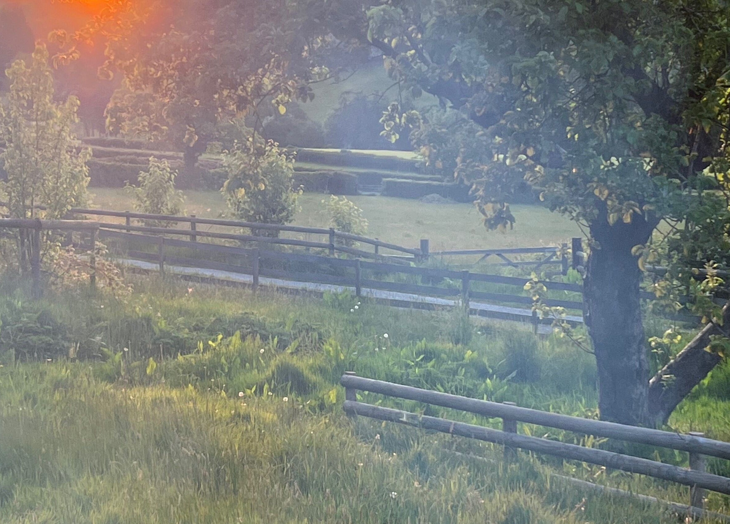 Peaceful rural landscape near Mountain Flow Massage in Clyro, Wales, GB, with sunlit trees and wooden fences.