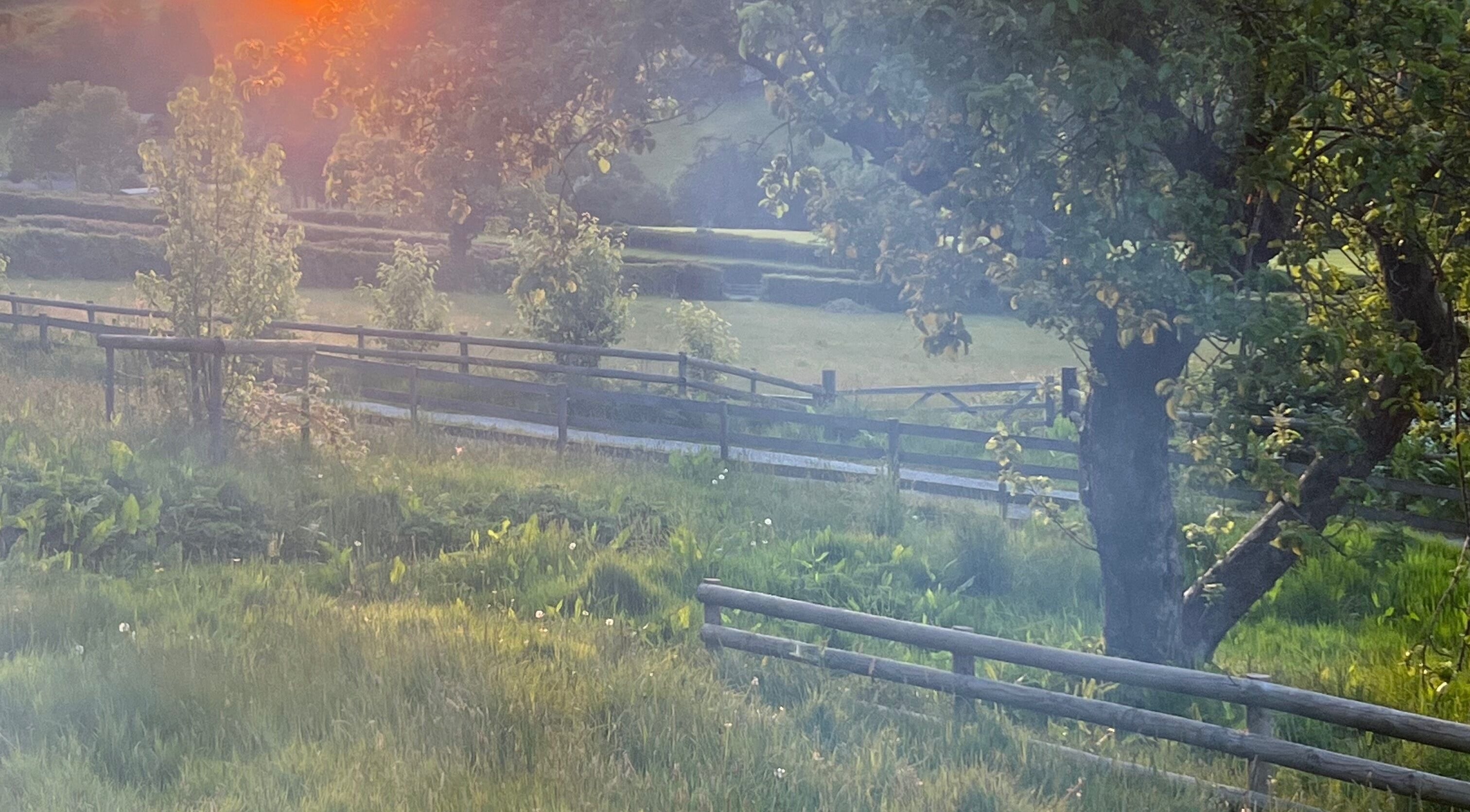 Peaceful rural landscape near Mountain Flow Massage in Clyro, Wales, GB, with sunlit trees and wooden fences.