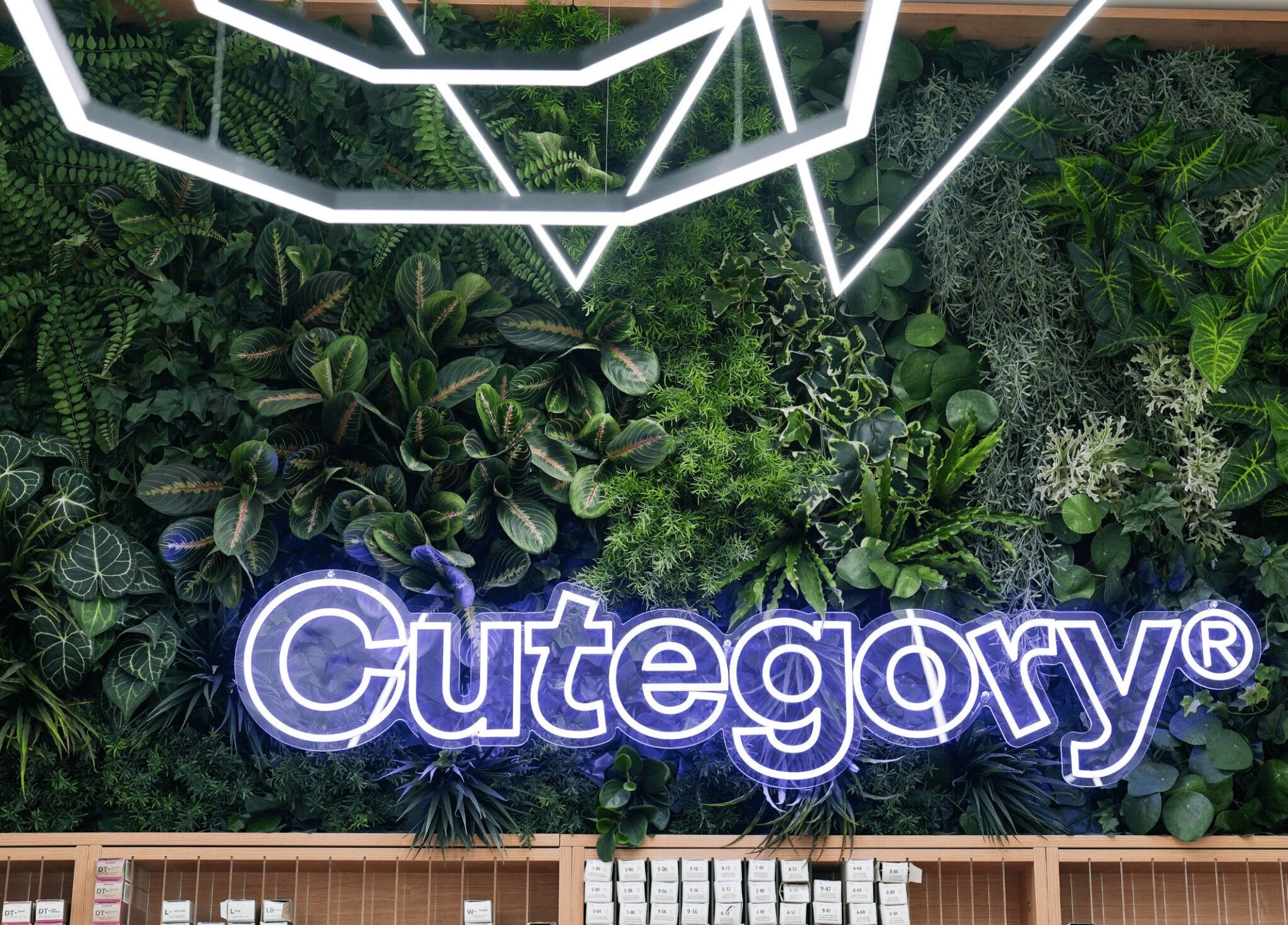 Vertikální zahrada s neony Cutegory v Jihomoravský Kraj, CZ.