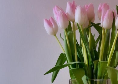 Fresh pink tulips in a vase at KB Nails, Livingston, Scotland, GB, adding elegance to the serene setting.