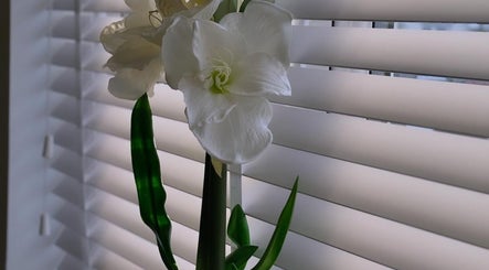 Elegant white flower in natural light at KB Nails, Livingston, Scotland, GB, showcasing tranquility and beauty.
