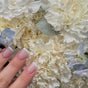 32.34.nails - вулиця Шовковична 32, Печерський Район, Київ, Місто Київ