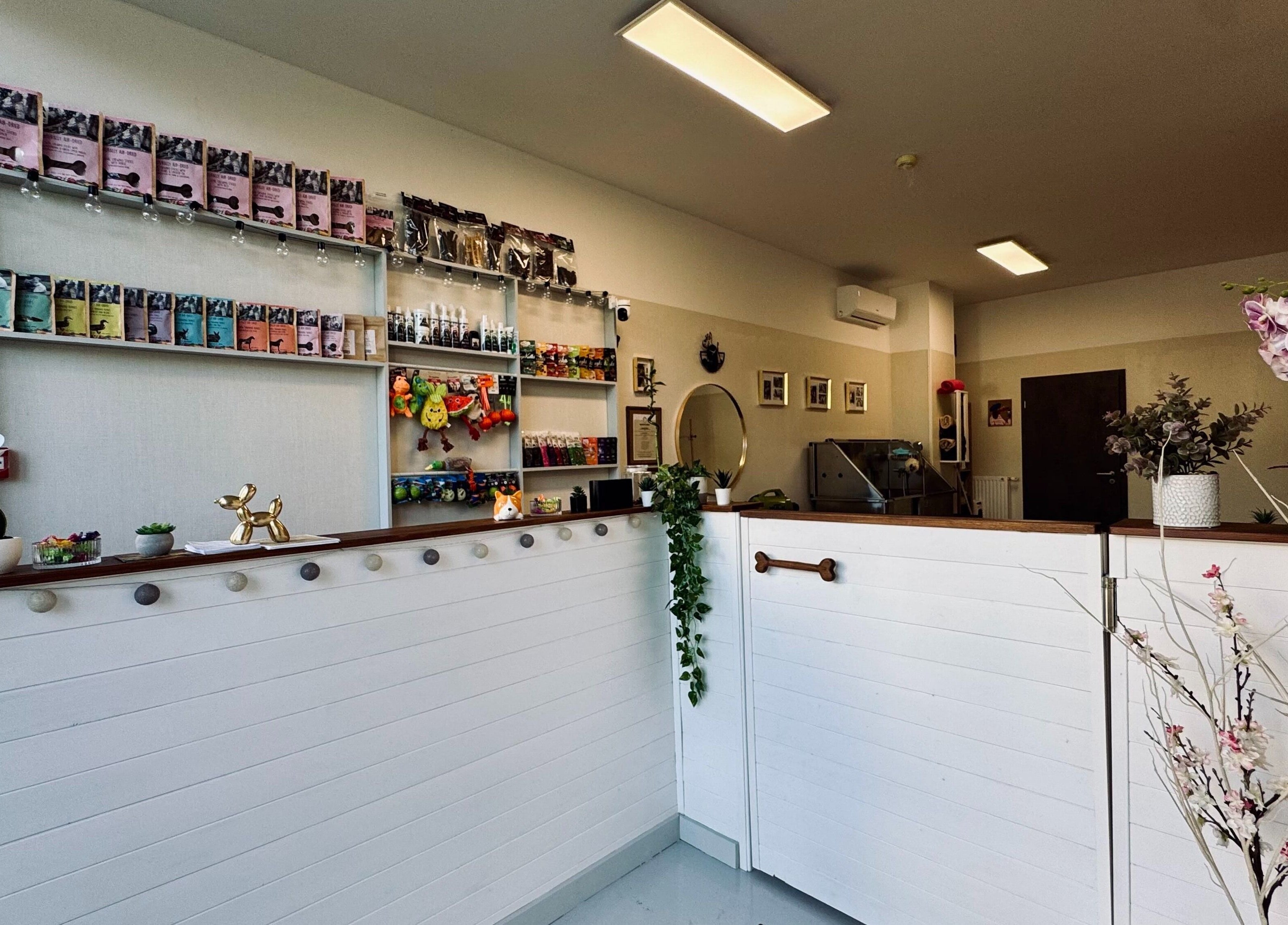 Elegáns recepció a Canine Barber - Kutyakozmetika helyszínén, Budapest, Magyar, HU.