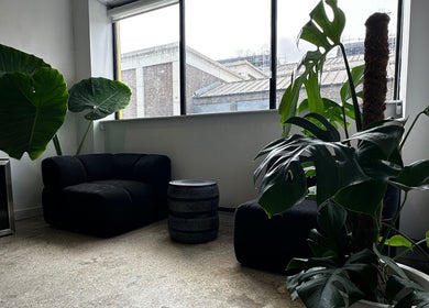 Modern lounge with plants at Cammarata Studio, London, England, GB, offering a relaxing ambiance.