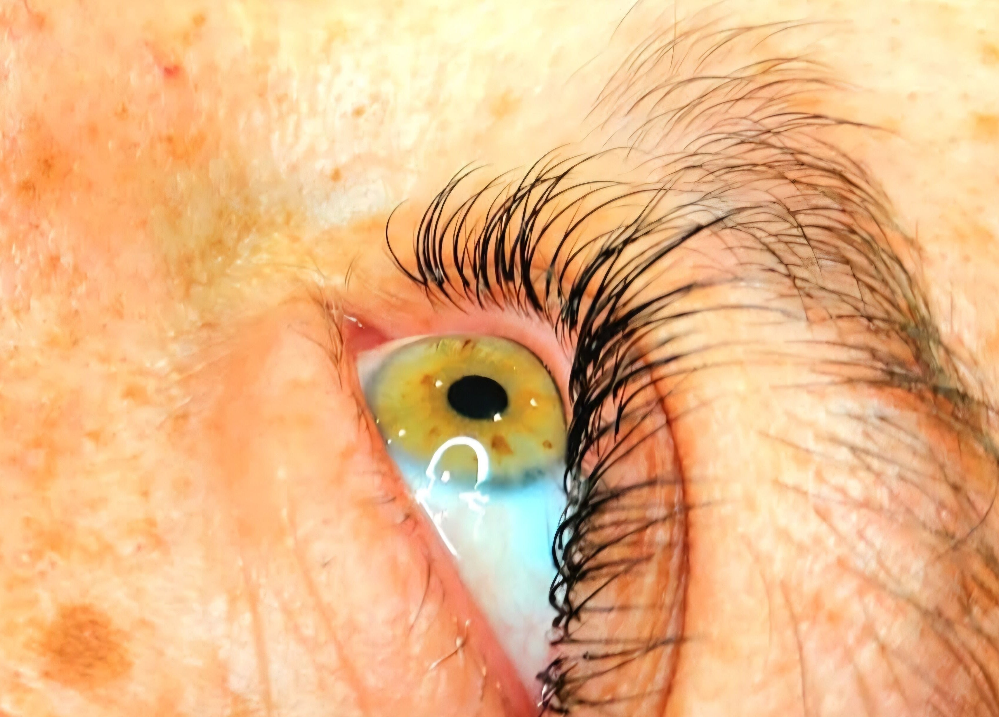 Close-up of a vibrant eye showcasing eyelash enhancement at Elysian Beauty and Piercing in Sudbury, GB.