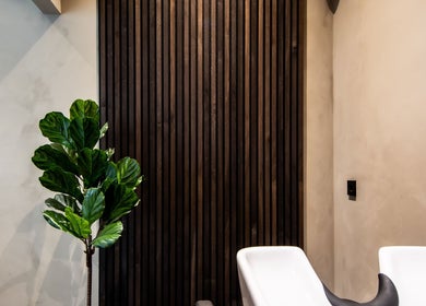 Stijlvolle ruimte bij Braided, Arnhem, Gelderland, NL met houten wand en groene plant.