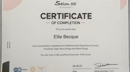 Certificate awarded at The Extension Room by Ellie in Waterlooville, England, GB for hair extensions course.