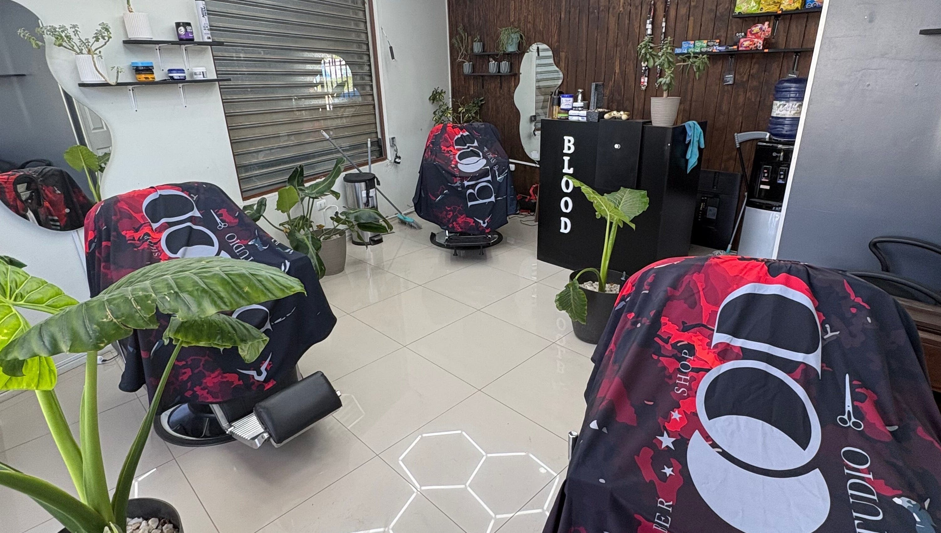 Interior de Blood Studio en Cachapoal, O'higgins, CL con sillas y plantas decorativas.