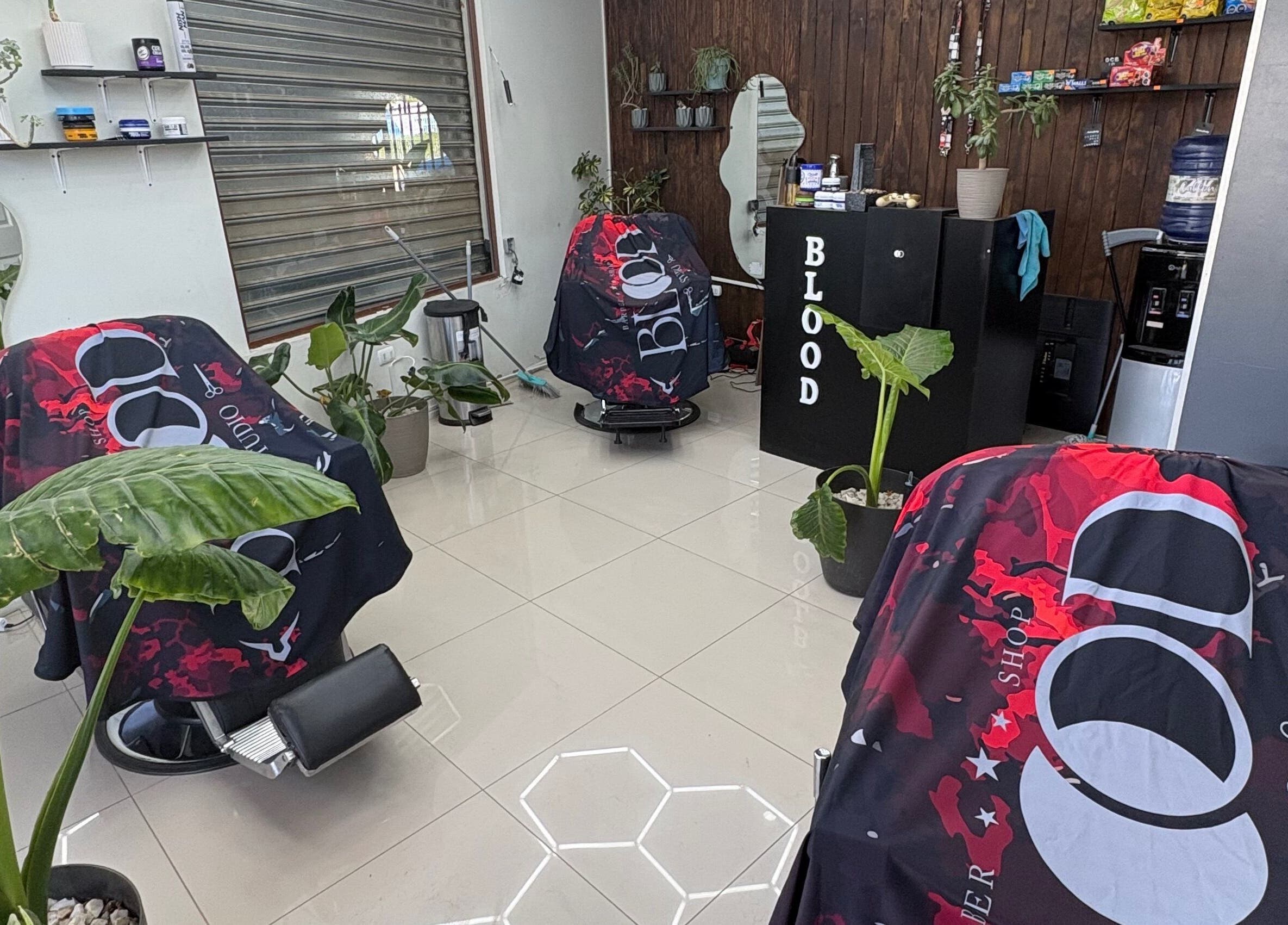 Interior de Blood Studio en Cachapoal, O'higgins, CL con sillas y plantas decorativas.